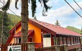 Cabana Oana Rausor